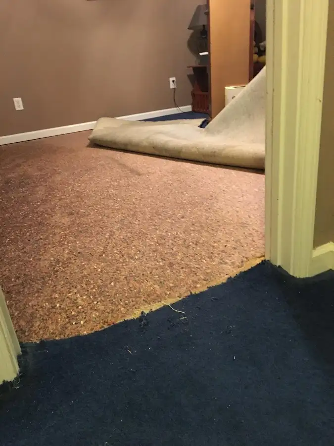 Carpet pad removal revealing water damage during Drying & Dehumidification in Ambridge
