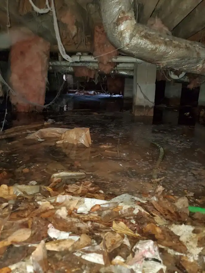 Crawl space flood assessment for Leak Detection & Repair in Ambridge