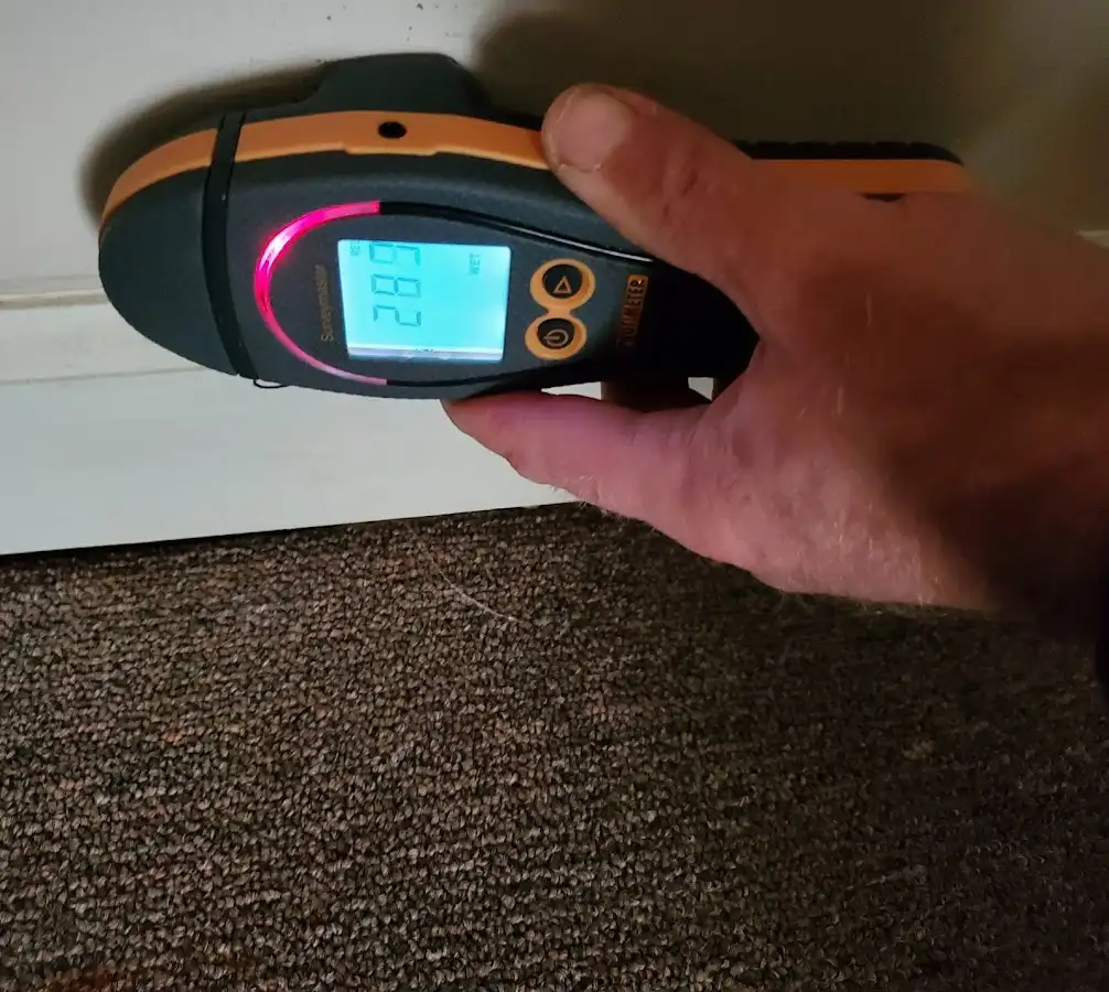 Moisture detection at baseboard during Burst Pipe Cleanup in Ambridge